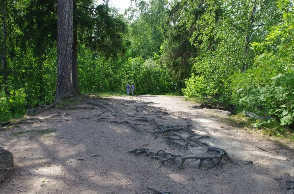 Монрепо-31.jpg Монрепо-31.jpg