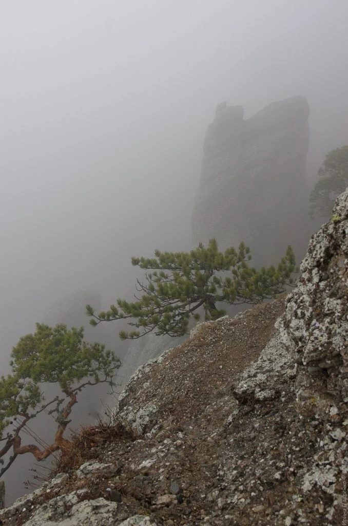 Демерджи. Пианист? Демерджи. Пианист?