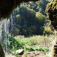 Гришкина балка
