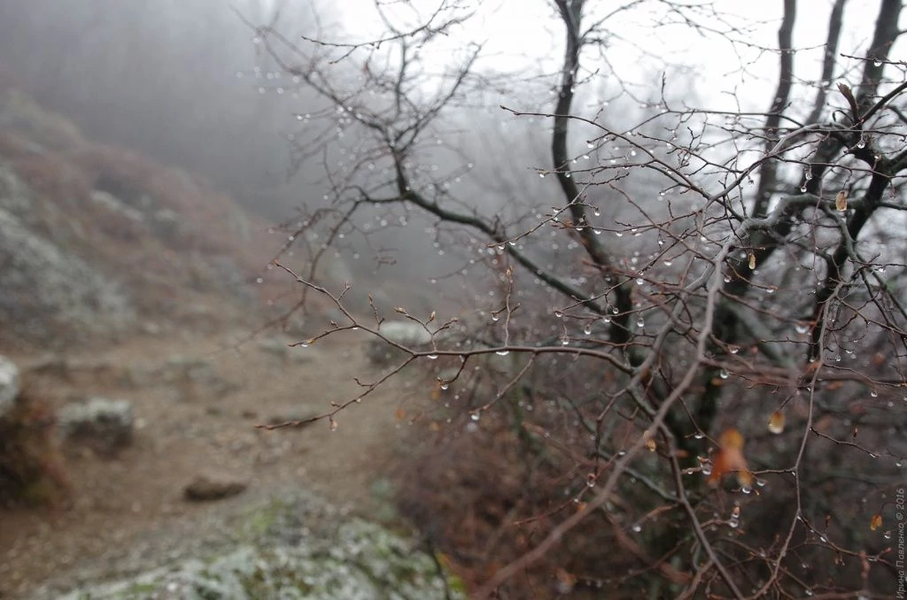 Демерджи-= с бокэ Демерджи-= с бокэ