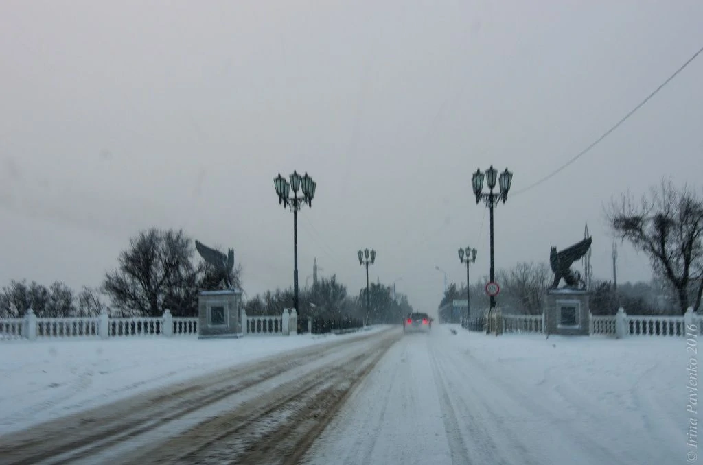 Крымскя дорога зимой- грифоны Керчи