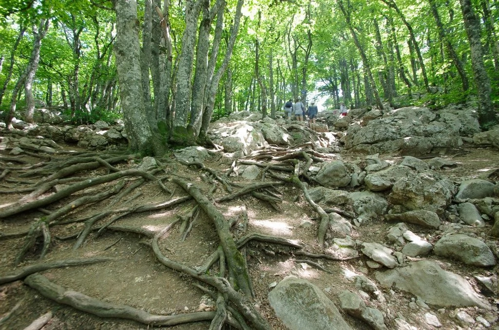 Ай-Петри.jpg