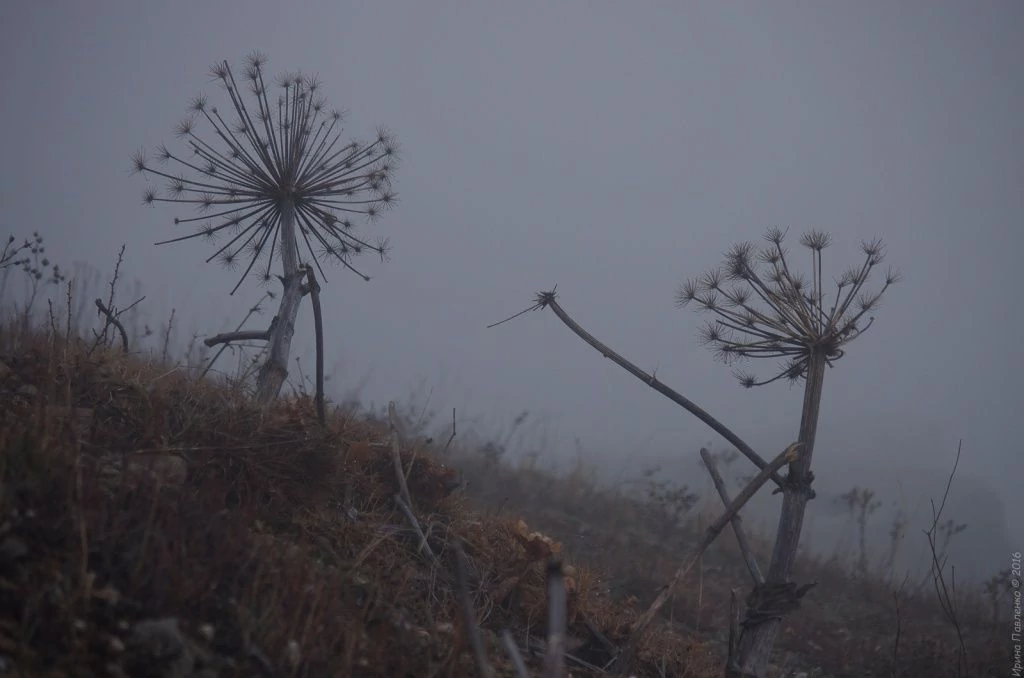 Демерджи-73.jpg Демерджи-73.jpg