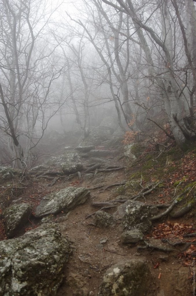 Демерджи, тропа к вершине Демерджи, тропа к вершине