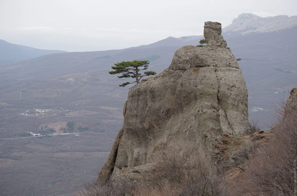 Демерджи. Боевой слон Демерджи. Боевой слон