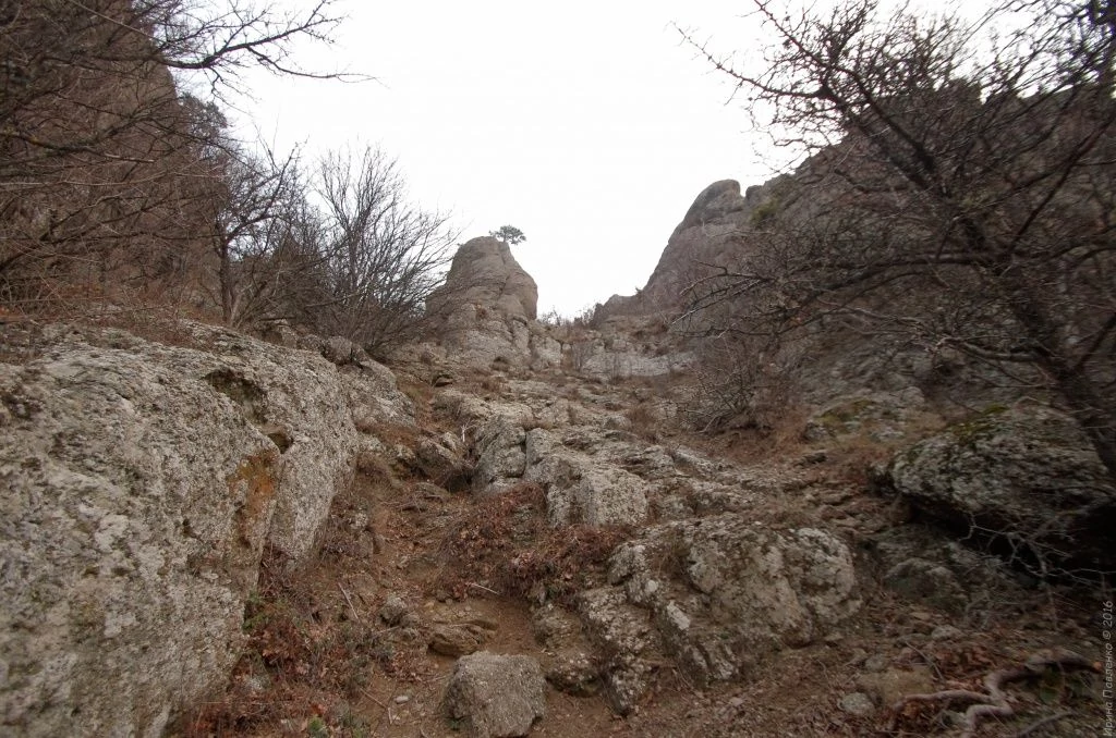 Демерджи-20.jpg Демерджи-20.jpg