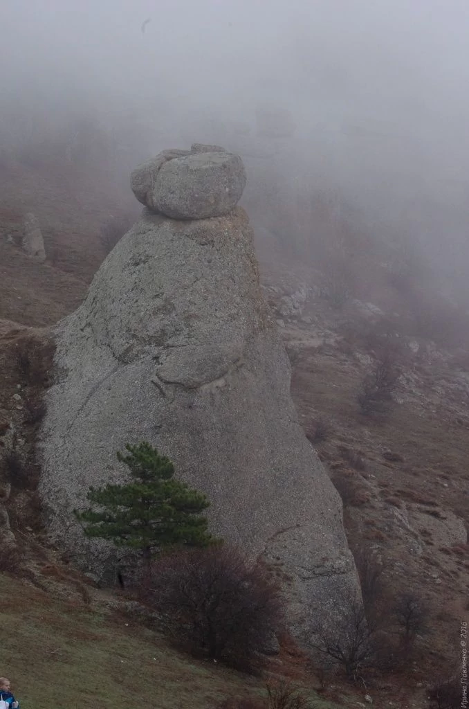 Демерджи, бегемотик Демерджи, бегемотик