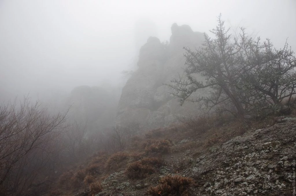 Демерджи в тумане Демерджи в тумане