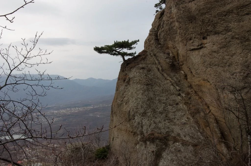 Демерджи-30.jpg Демерджи-30.jpg