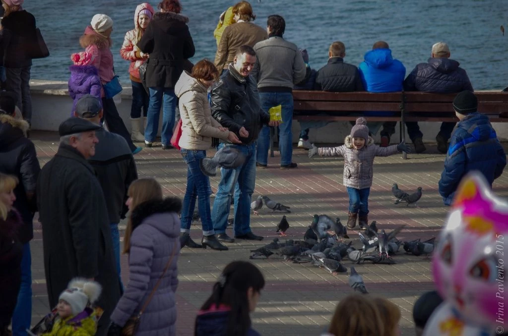 Севастополь голуби Севастополь голуби