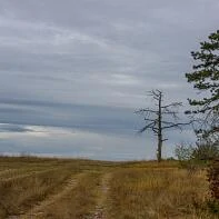 Осень в Крыму