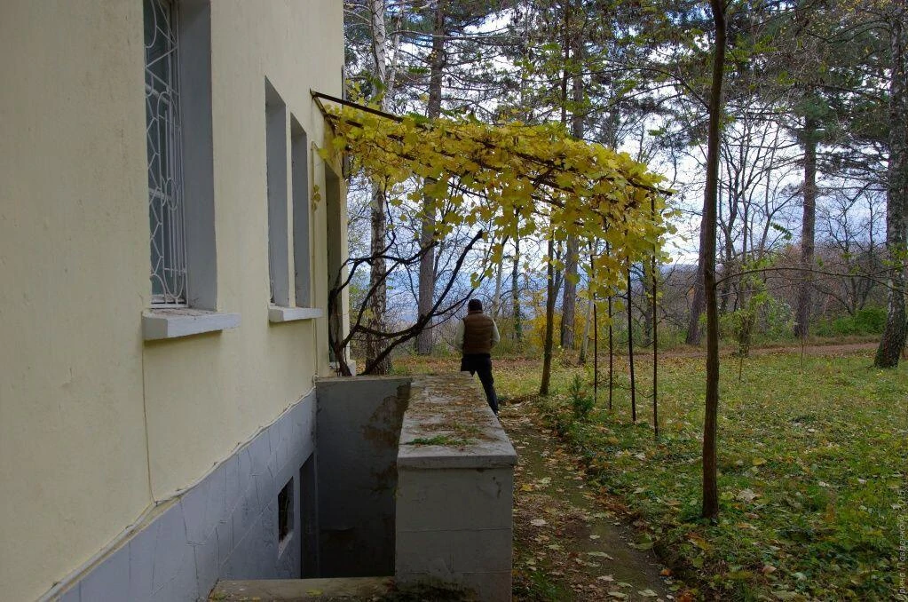 Пергола