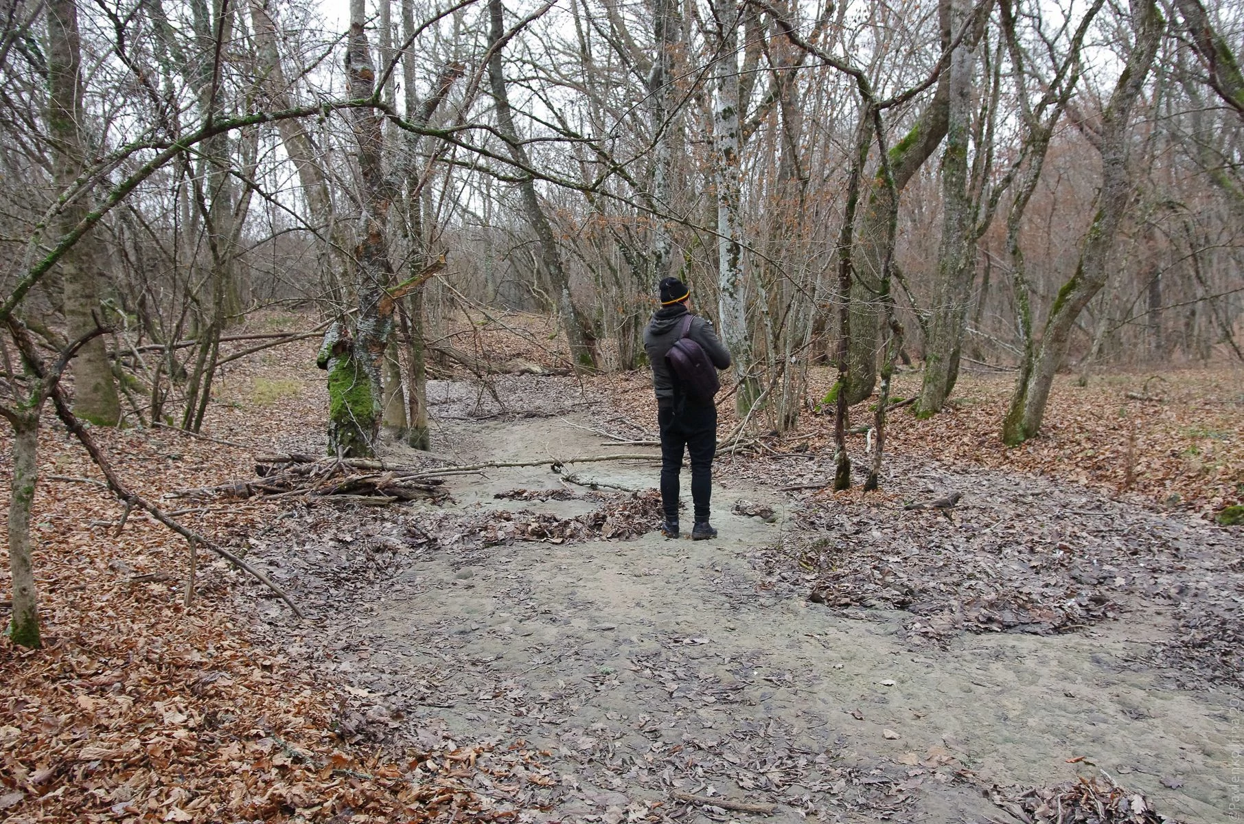 Прогулка к водопаду Козырек-18.jpg Прогулка к водопаду Козырек-18.jpg