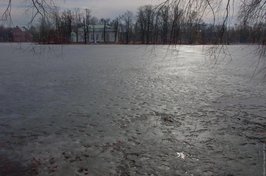 Зал на острову. Царское село. Екатерининский парк