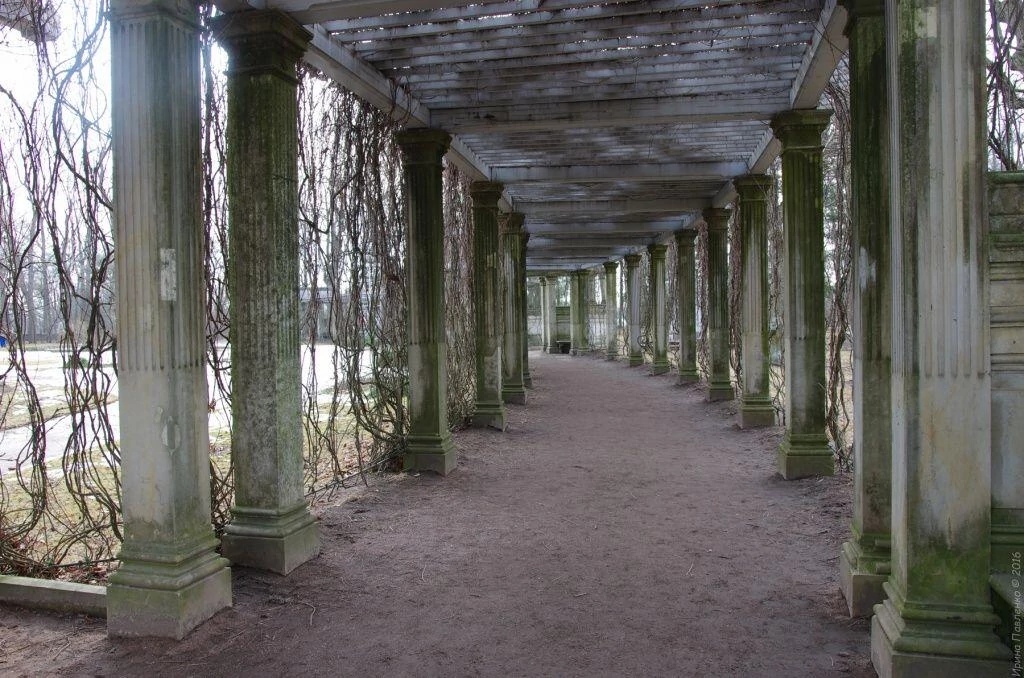 Пергола. Царское село. Екатерининский парк