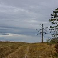 Осень в Крыму