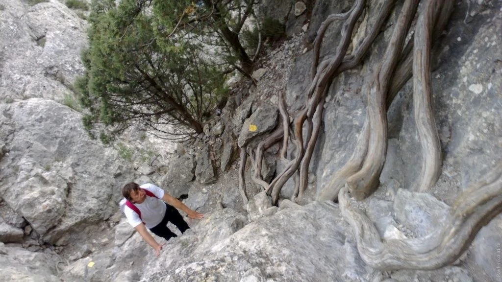 Веселое Веселое