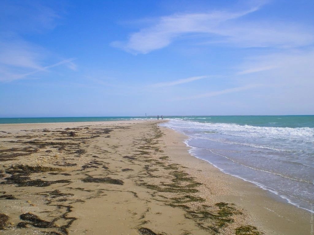 Велопоход по западному Крыму. Бакальская коса. Ракушки-4 Велопоход по западному Крыму. Бакальская коса. Ракушки-4