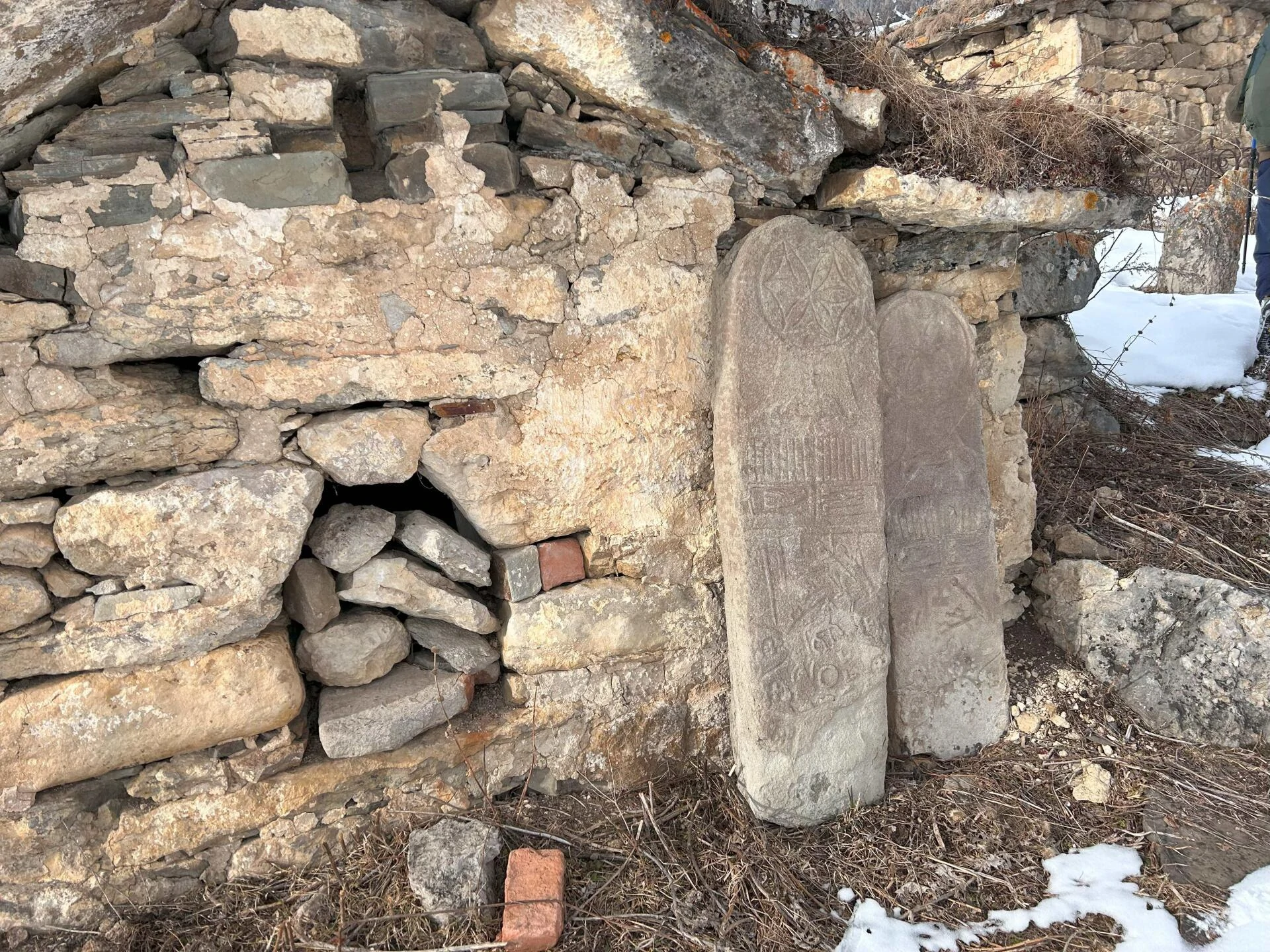 Цырты растительные и не только.jpg