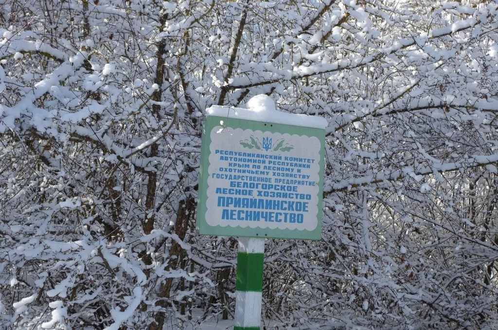 Территория Белогорского Прияйлинского лесничества.jpg