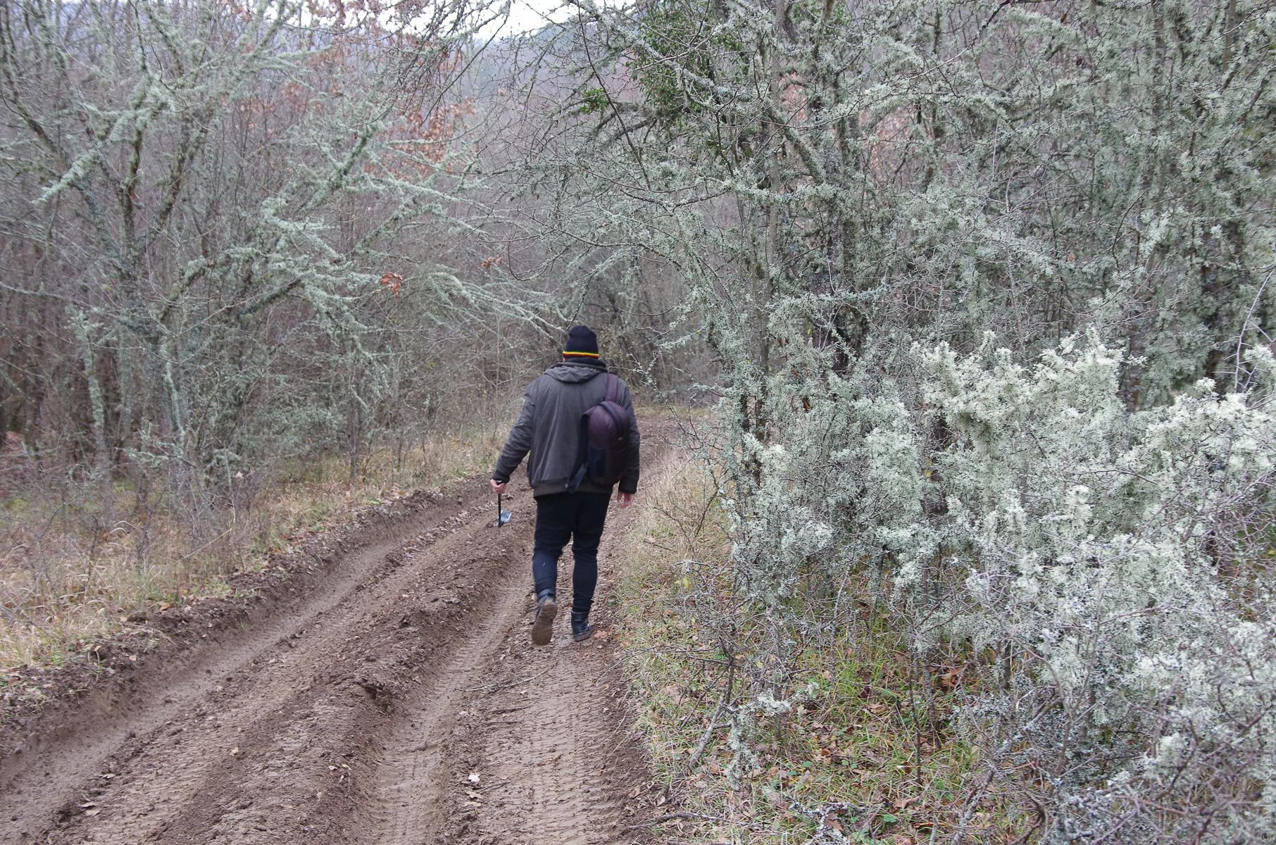 Прогулка к водопаду Козырек-15.jpg Прогулка к водопаду Козырек-15.jpg