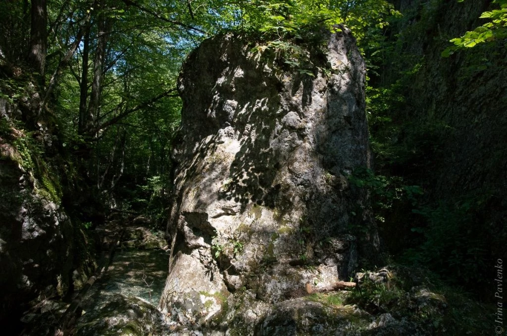 Каньон-1-7.jpg Каньон-1-7.jpg