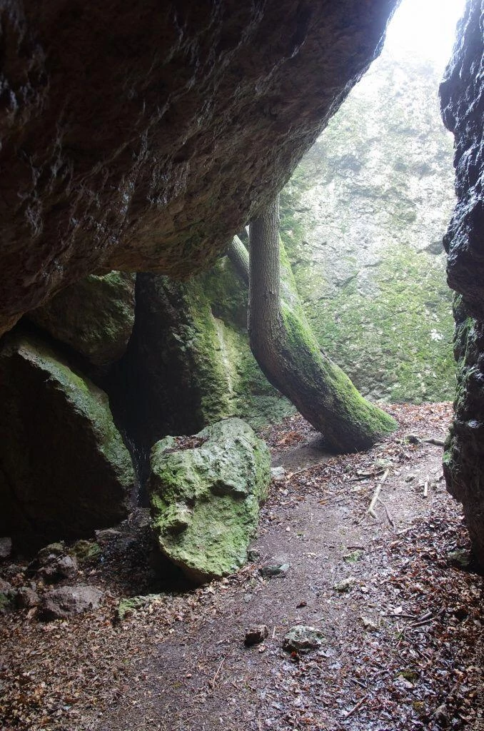 Монастырь. Кизилташ. Пещера Алима Монастырь. Кизилташ. Пещера Алима