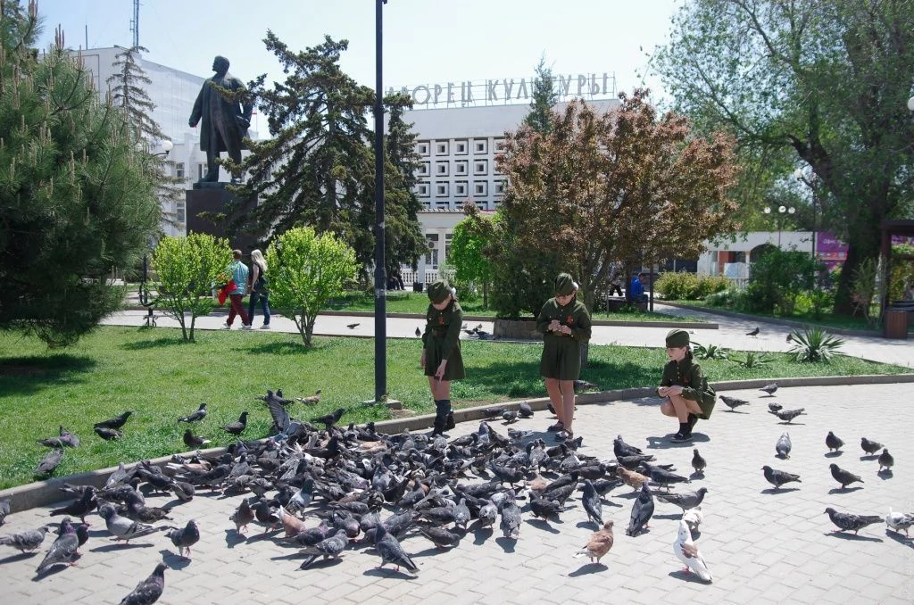 Саки, девочки кормят голубей Саки, девочки кормят голубей