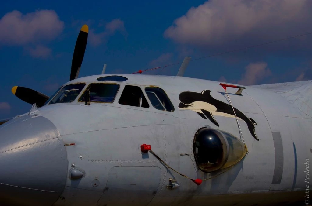 День ВВС 2015-1-25.jpg