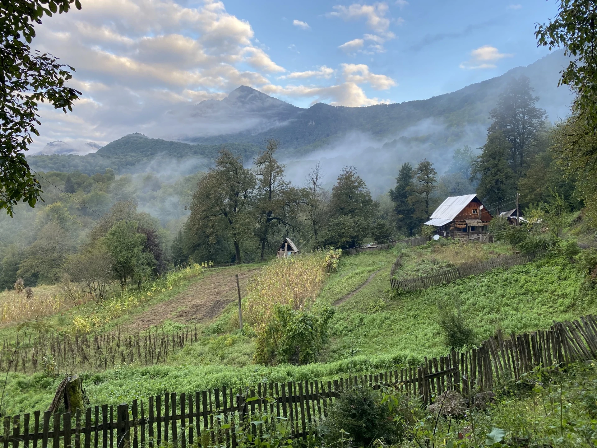 2021-09-27 06-43-50.jpg 2021-09-27 06-43-50.jpg