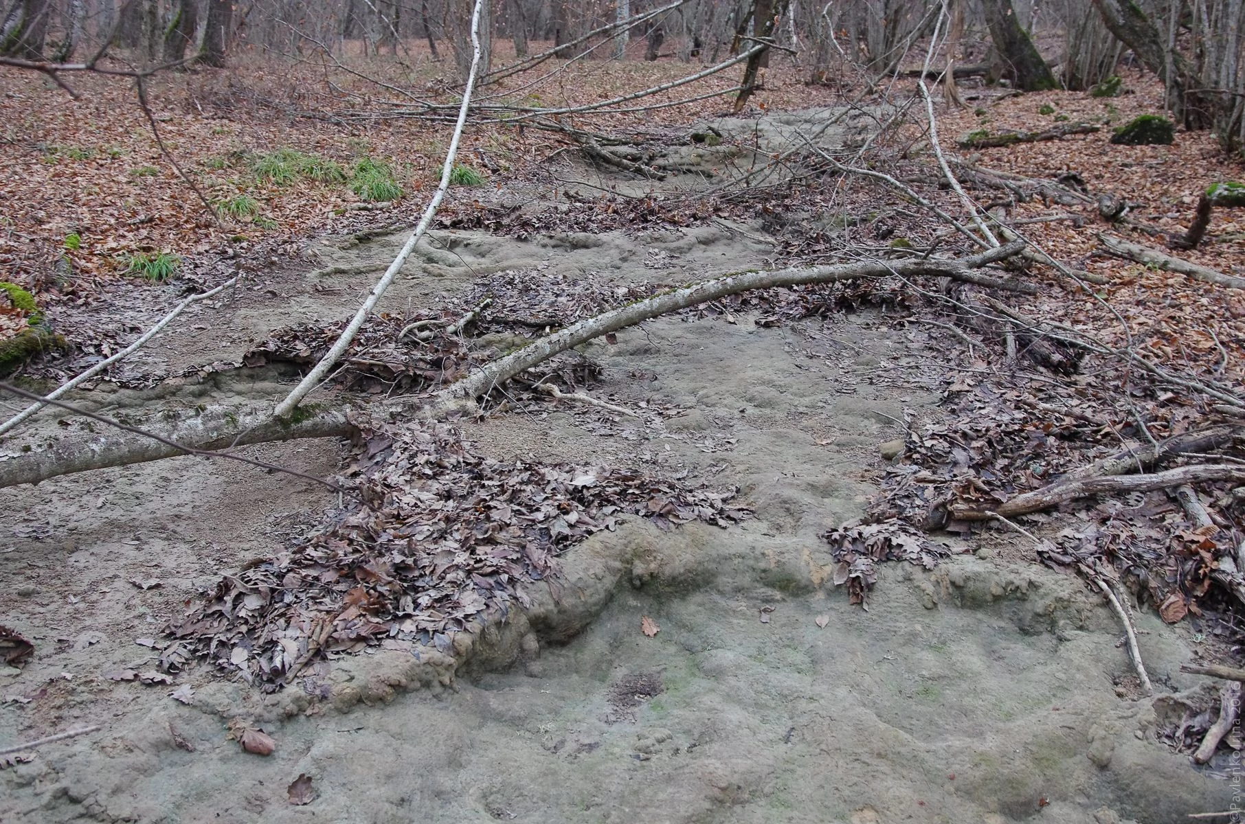 Прогулка к водопаду Козырек-19.jpg Прогулка к водопаду Козырек-19.jpg