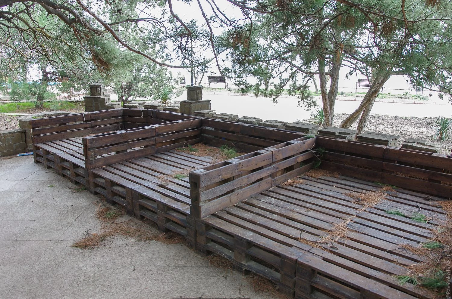 Новый Свет-12.jpg Новый Свет-12.jpg