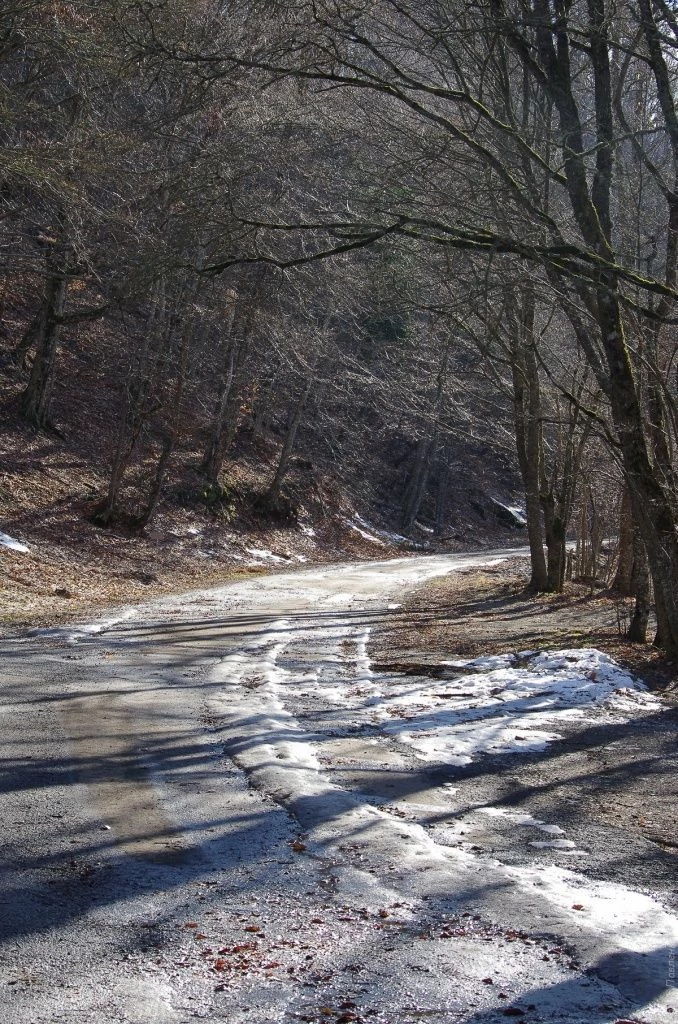 Дорога Изобильное-Космодемьяновский монастырь.jpg Дорога Изобильное-Космодемьяновский монастырь.jpg