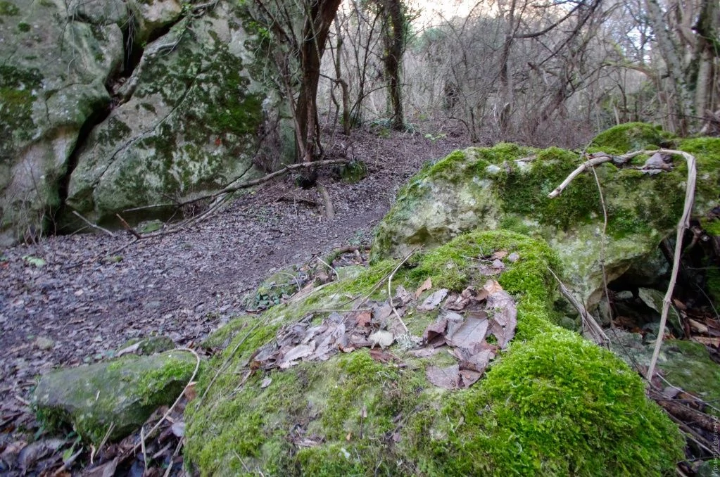 Сюйреньская крепость, тропа-2.jpg