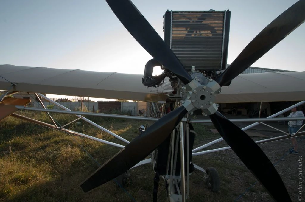 Вид сзади Стрекозы