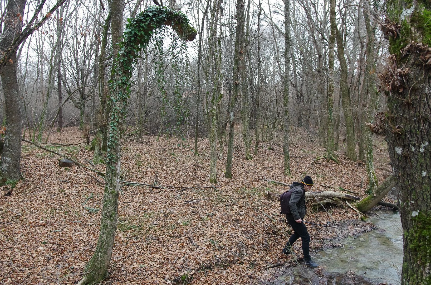 Змей наблюдает как Андрей переходит эту реку вброд Прогулка к водопаду Козырек-20.jpg