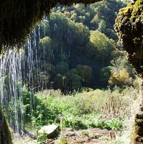 Гришкина балка