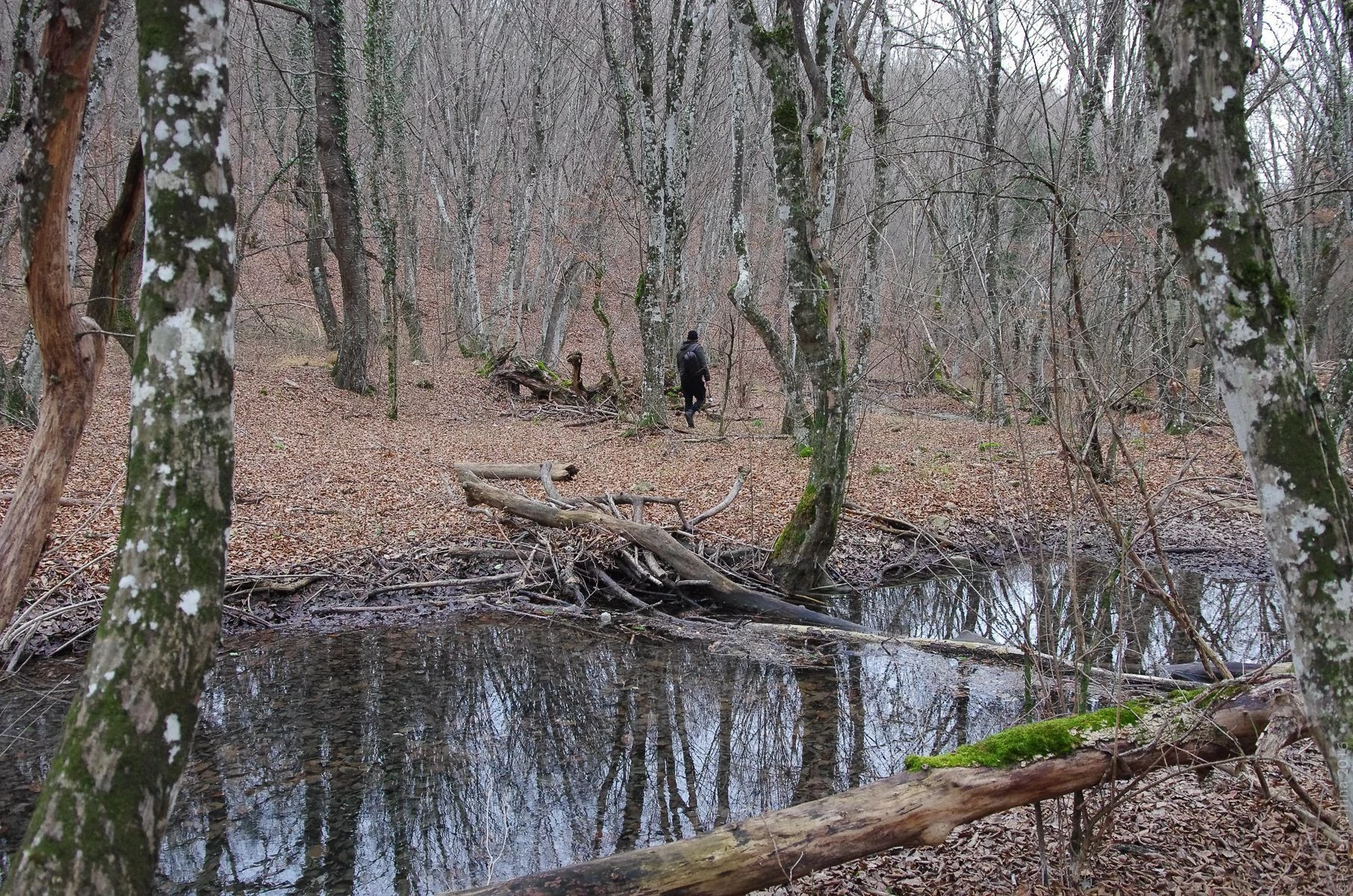 Тихая заводь Прогулка к водопаду Козырек-21.jpg