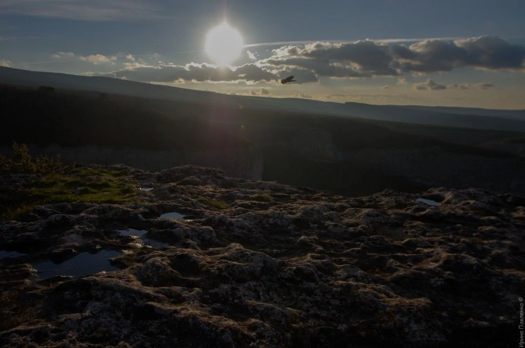 Птицы Сюйреньской крепости.jpg