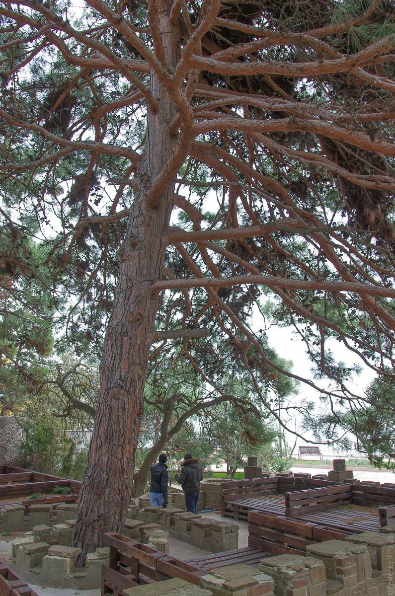 Новый Свет-11.jpg Новый Свет-11.jpg