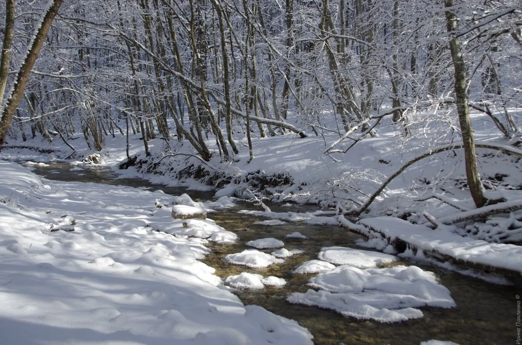 Малая Карасевка.jpg