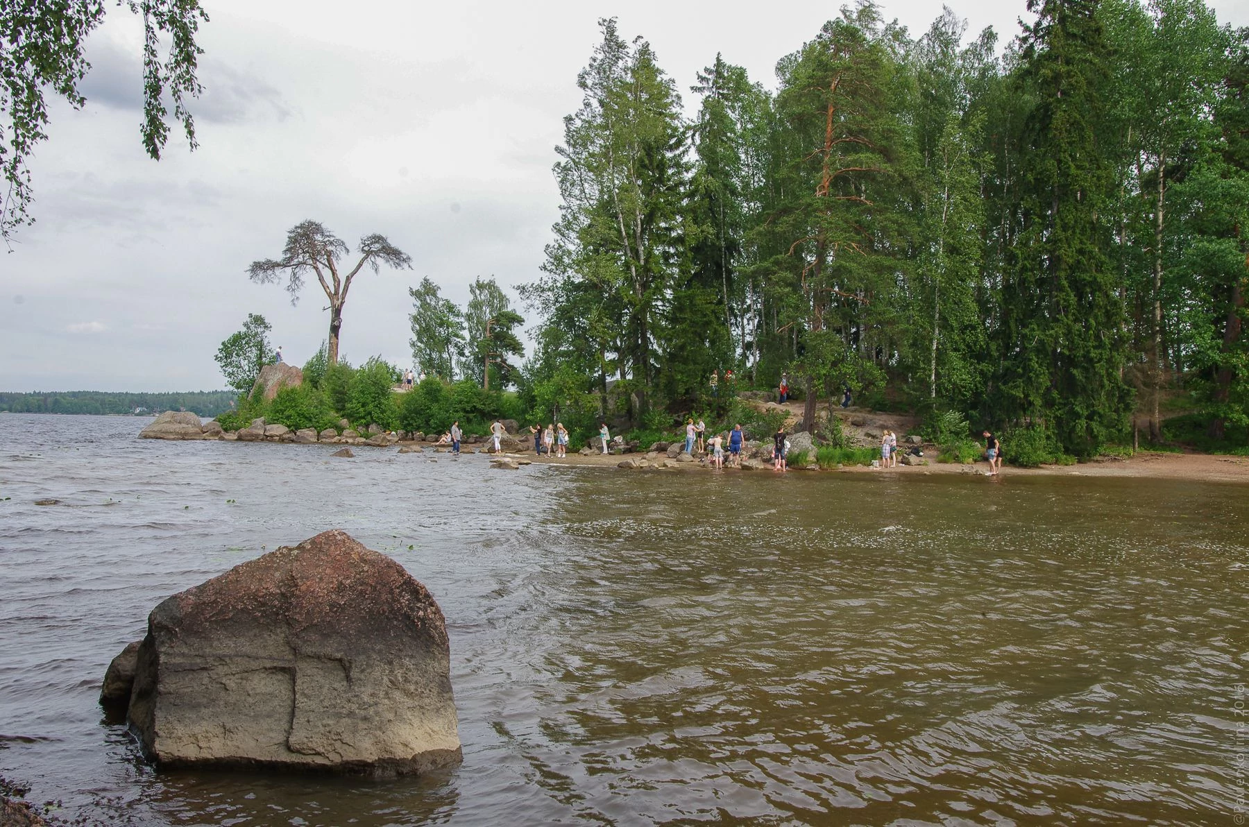 Монрепо-39.jpg Монрепо-39.jpg