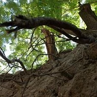 Феодосия, которую вы не видели