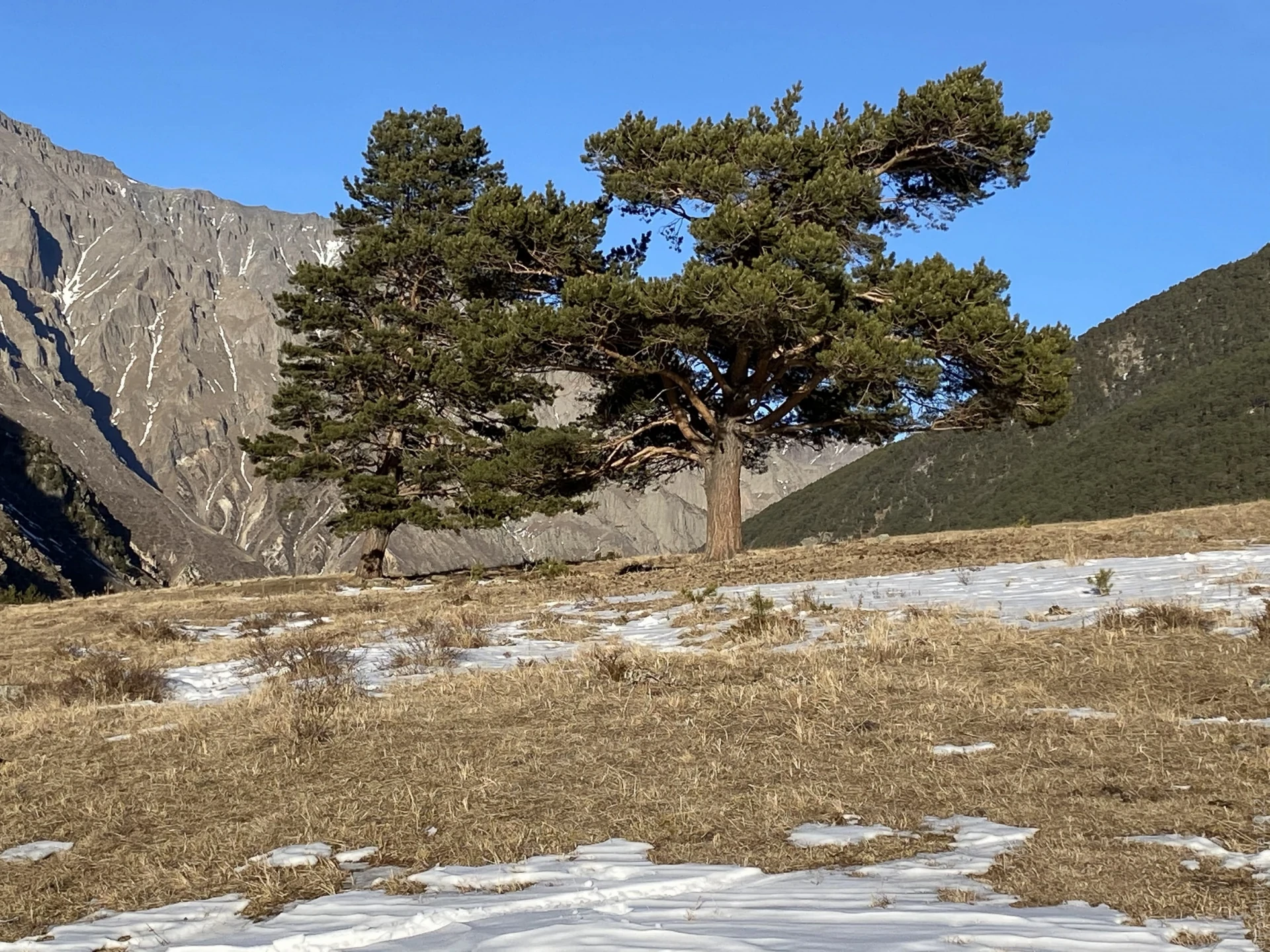 дорога.jpg дорога.jpg