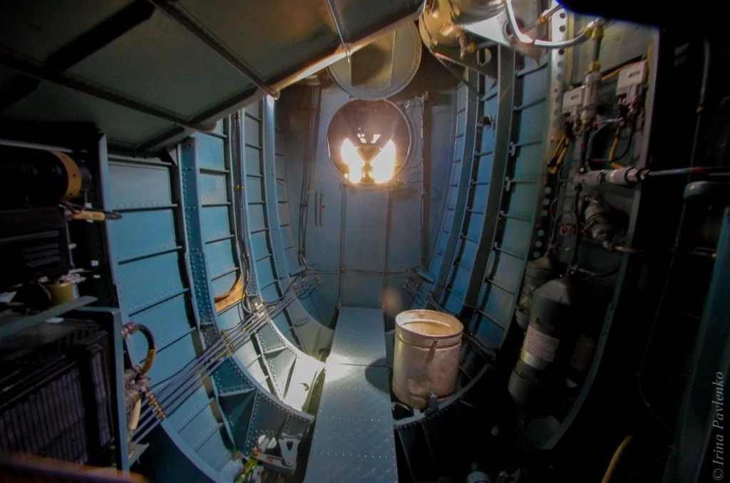 День ВВС 2015-1-16.jpg