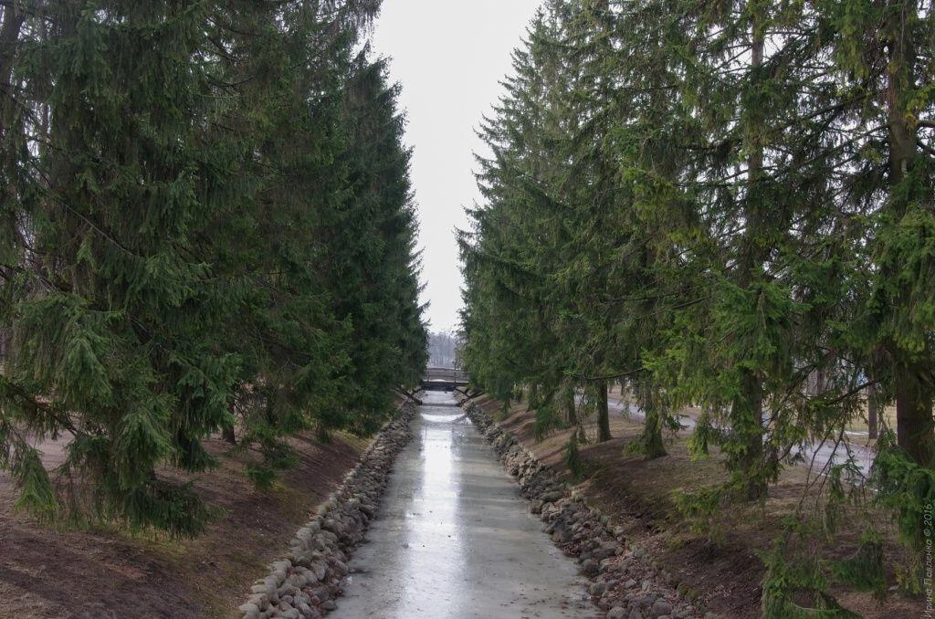 Регулярный (французский) парк. Царское село. Екатерининский парк Регулярный (французский) парк. Царское село. Екатерининский парк