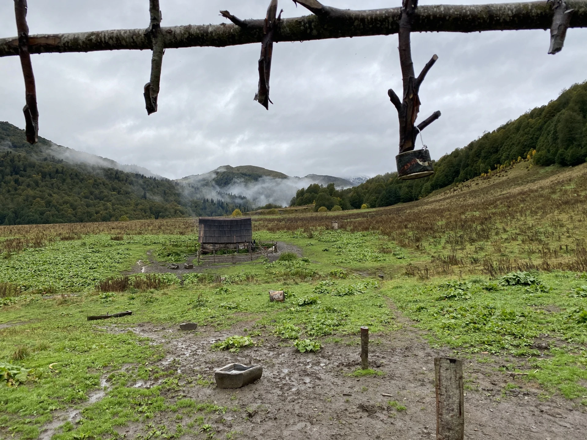 2021-09-23 07-27-37 (1).jpeg 2021-09-23 07-27-37 (1).jpeg