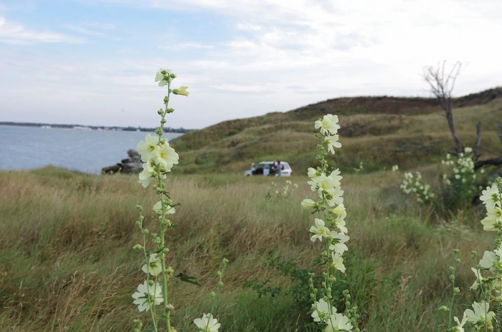 Мыс Казантип- касса Мыс Казантип- касса