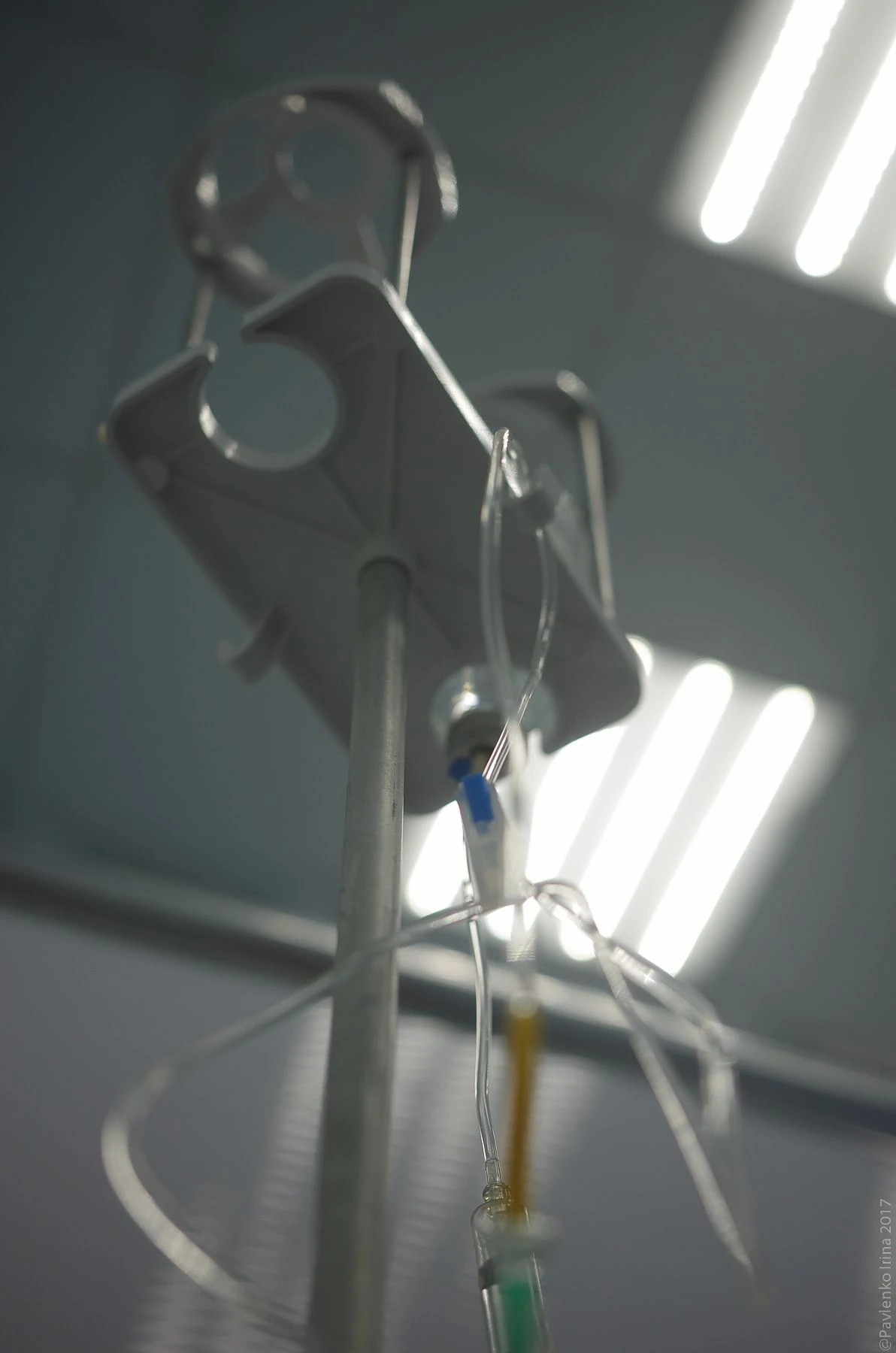 введение озона.jpg