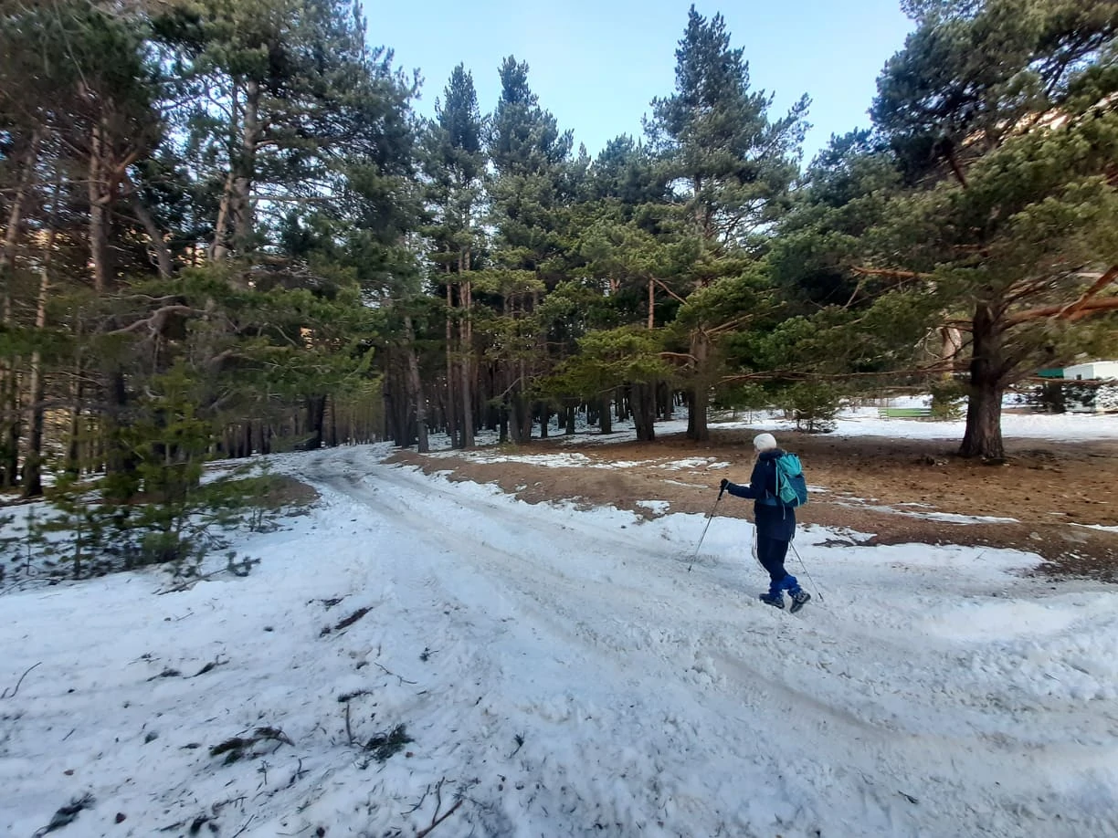 271719788_481219840028525_6059538647750425512_n.jpg 271719788_481219840028525_6059538647750425512_n.jpg